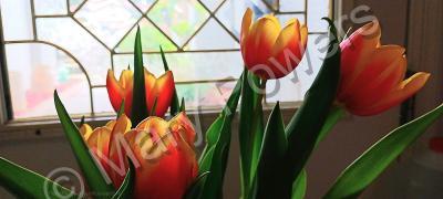 Ode To Dead Flowers - Tulips 1 - Digital