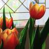 Tulips 1 - Digital Photography - By Mary Powers, Nature Photography Artist