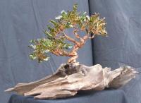 Bonsai - Untitled - Copperglass