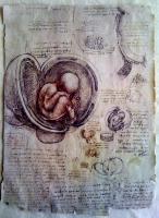 Leonardo Da Vinci Fetus - Sculpture On Paper Sculptures - By Alessandro Tartaglione, Paper Sculpture Sculpture Artist