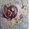 Leonardo Da Vinci Fetus - Sculpture On Paper Sculptures - By Alessandro Tartaglione, Paper Sculpture Sculpture Artist