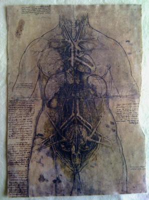 Leonardo Da Vinci - Leonardo Da Vinci - Internal Organs 1 - Sculpture On Paper