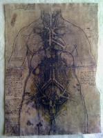 Leonardo Da Vinci - Internal Organs 1 - Sculpture On Paper Sculptures - By Alessandro Tartaglione, Paper Sculpture Sculpture Artist