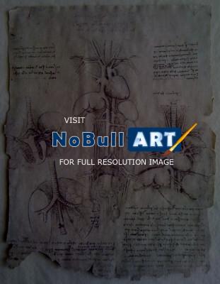 Leonardo Da Vinci - Leonardo Da Vinci - Internal Organs 2 - Sculpture On Paper