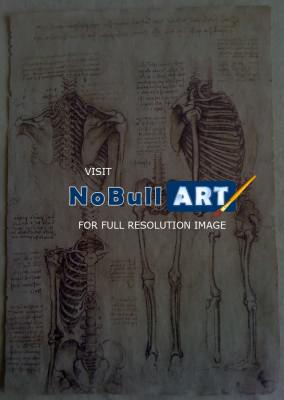 Leonardo Da Vinci - Leonardo Da Vinci - Skeleton - Sculpture On Paper