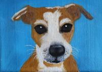 Animals - Bud - Oil Canvas Board