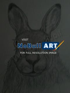 Animals - March Hare - Graphite