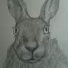 March Hare - Graphite Drawings - By Wendys Wolf, Impressionist Drawing Artist