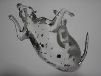 Just Another Diary - My Dalmatian - Bw