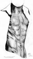 Pencil Sketches - Endymion - Pencil And Paper
