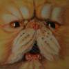 Persian Cat - Oil On Linen Paintings - By Varvara Stylidou, Impresionism Painting Artist