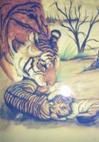 Tiger Love - Soft Pastels Drawings - By Gregory Rumplik, Freehand Drawing Artist