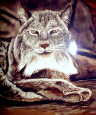 Wild Life - Lazy Link - Soft Pastels