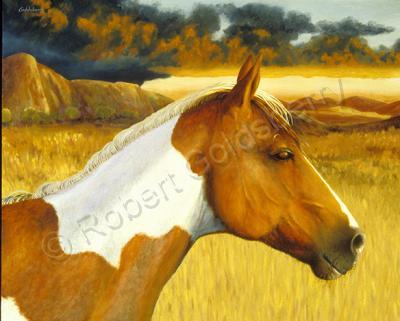 Equine - Two Coats - Oil On Canvas