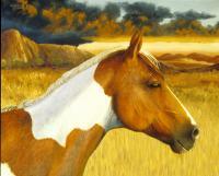 Equine - Two Coats - Oil On Canvas