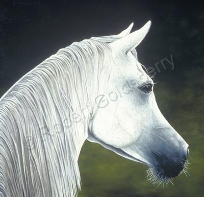 Equine - My Alibi - Oil On Canvas