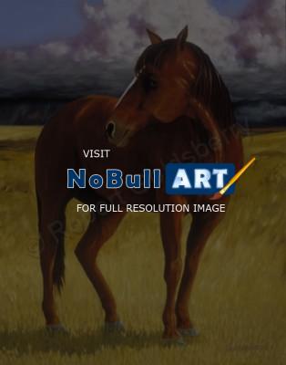 Equine - High Plains Sentinel - Oil On Canvas