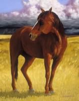 Equine - High Plains Sentinel - Oil On Canvas