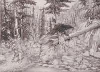 The Hunter - Pencil Drawings - By Robert Goldsberry, Realism Drawing Artist