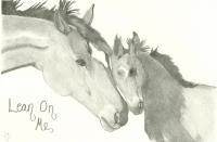 Lean On Me - Pencil Drawings - By Sarah Ebner, Animals Drawing Artist