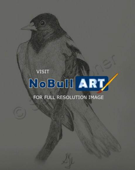 Pencil - Bird - Pencil
