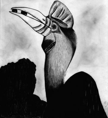 Drawing - Bird - Pencil