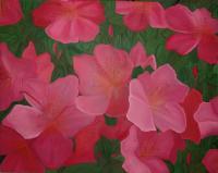 Flowers - New Beginning - Oil