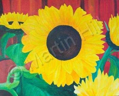 Nature - Sun Flowers At Home - Oil On Canvas