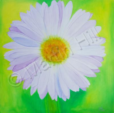 Nature - Irish Wildflower - Oil On Canvas