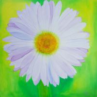 Nature - Irish Wildflower - Oil On Canvas