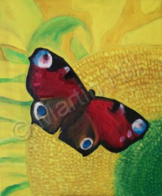 Nature - Butterfly - Oil On Canvas