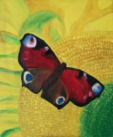 Nature - Butterfly - Oil On Canvas