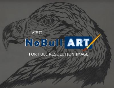 Pencil Drawings - Bald Eagle Profile - Pencil  Paper