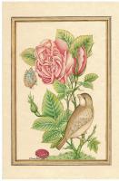 Flowers - Flower And Bird - Gouache Watercolor
