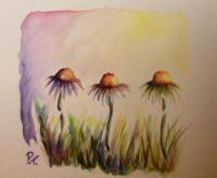 Cone Flowers 2 - Watercolor Paintings - By Dani T, Detailed Slap-Dash Painting Artist