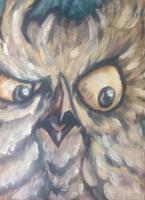 Highly Skeptical Owl - Oil On Wood Paintings - By Dani T, Detailed Slap-Dash Painting Artist