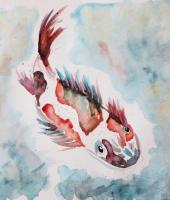 Watercolors - Koi - Watercolor