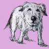 Wcfields - Mixed Paintings - By Gareth Wozencroft, Classic And Traditional Painting Artist