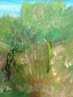 Oils - The Forest - Oil Over Canvas