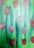 Oils - Flores - Oil Over Canvas