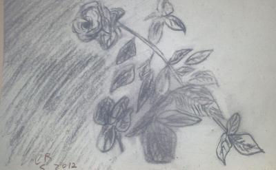 Draws - Rose - Charcoal