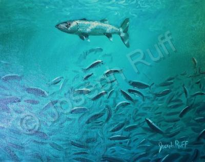 Underwater - Hovering Baracuda - Prof Qlty Oil On 3X P Cnv