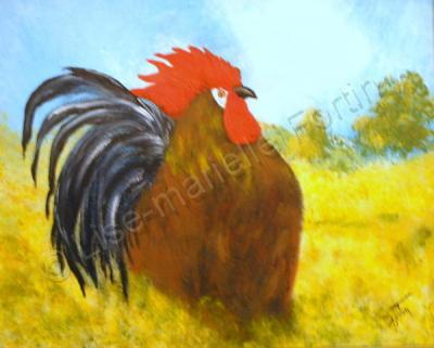 Rooster - Coq - Acrylic