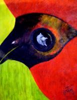 Birds - Un Mouton Dans Loeil - Acrylic