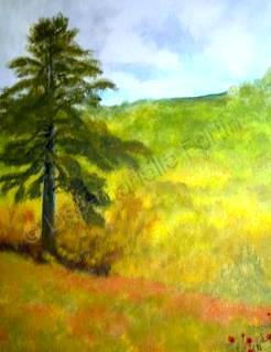 Landscapes Paysages - Lex Grand Pin De Ma Cour - Acrylic