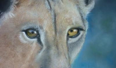 Animals - Watching You Watching Me - Pastel