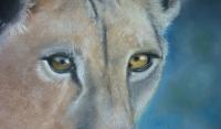 Watching You Watching Me - Pastel Drawings - By Paul Horton, Realism Drawing Artist