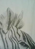 Pencil - Zebra - Pencil