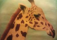 Pastel - Giraffe - Pastel