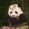 Acrylics - Patricia Freeman - Realism Painting Artist